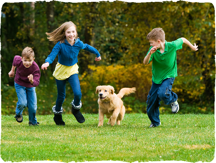 Coastal Community in Beaufort NC - Dog Park